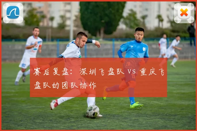 赛后复盘：深圳飞盘队 vs 重庆飞盘队的团队协作