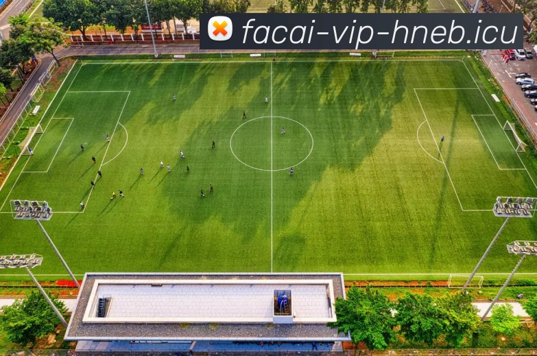 乐鱼体育APP 高清赛事图